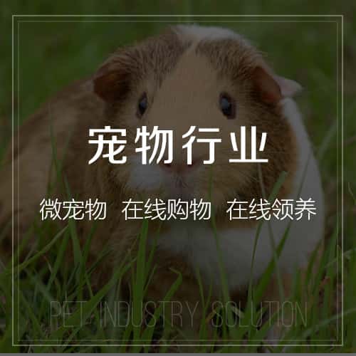 香港宠物
